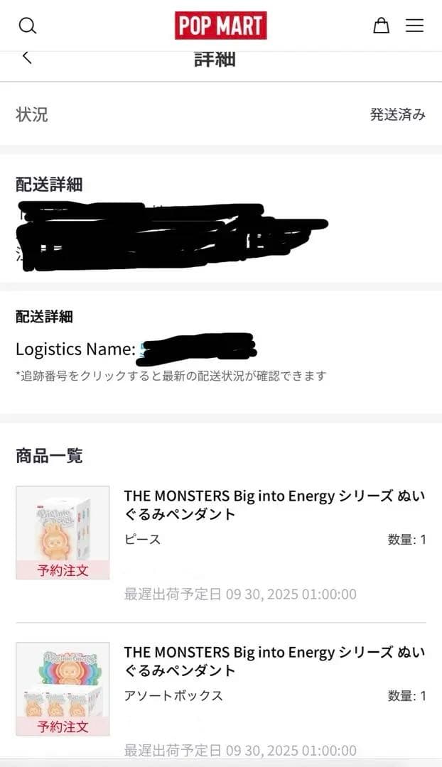 ✴︎未開封セット✴︎ラブブ エナジーボックス 正規品