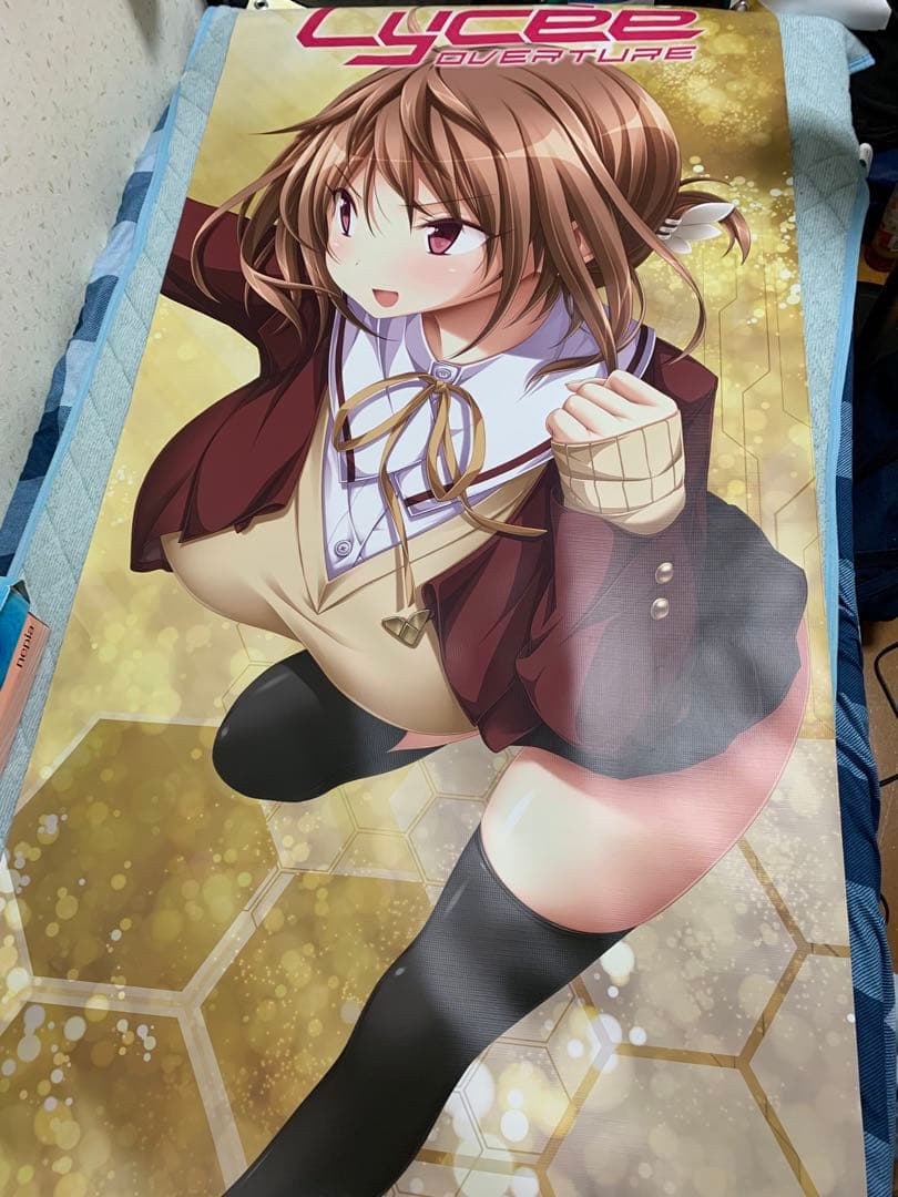 Lycee overture非売品ターポリンバナー ポイントキャンペーン