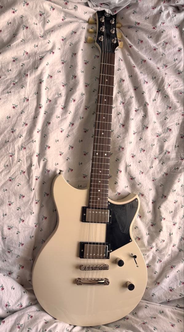 売約済み　光　YAMAHA REVSTAR RSE20