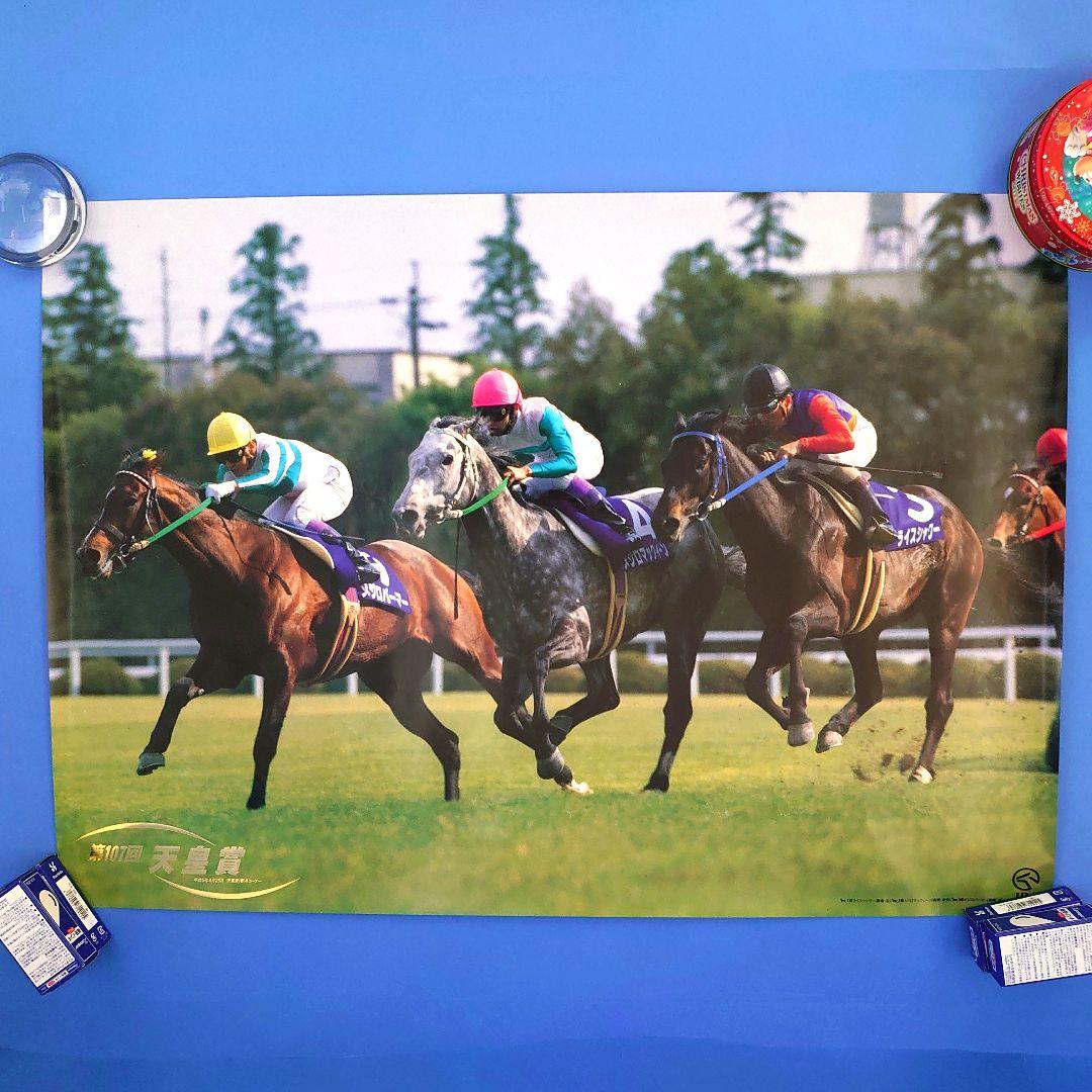 ライスシャワー&メジロマックイーン ポスター 競馬 ヒーロー列伝 ウマ娘 馬