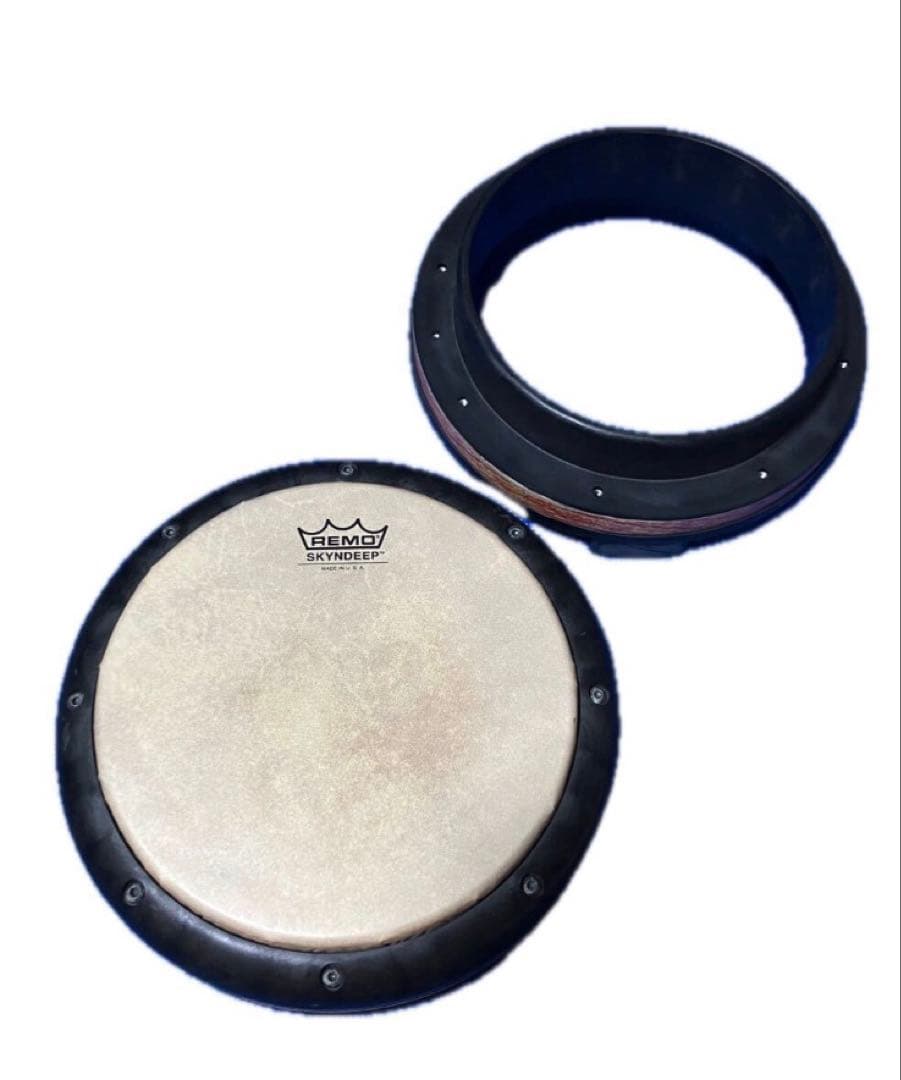 こ*み様 REMO トゥバニート　10インチ