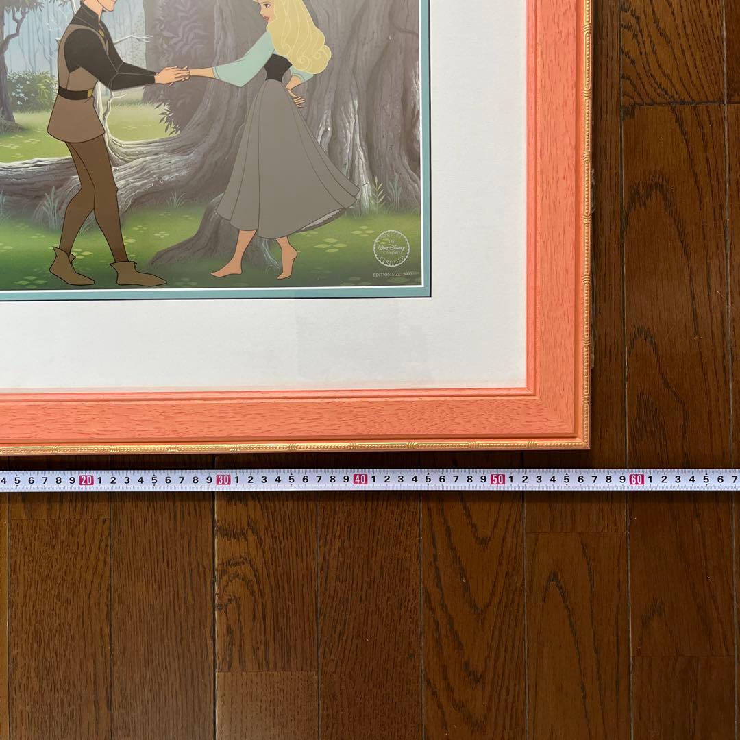 ディズニーセル画　眠れる森の美女