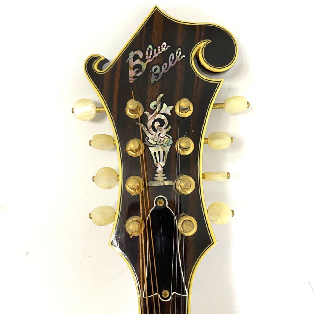 BLUEBELL ブルーベル F-12 フラットマンドリン