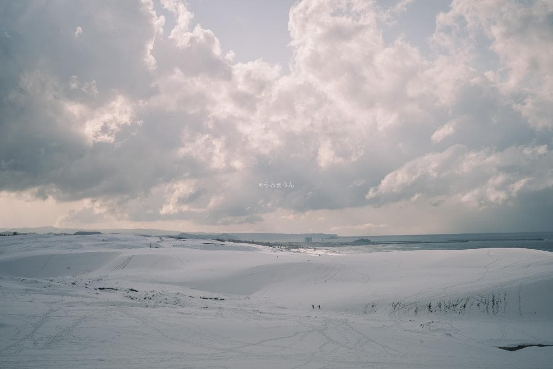 yu様　黄変なし光学美品！PENTAX Super-Takumar 55mm