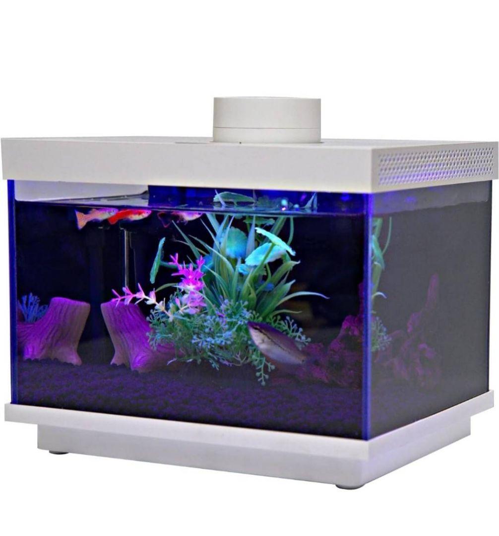 FiSH-α2 6.9L ホワイト　オールインワン水槽　ガラス水槽　スマホ連携