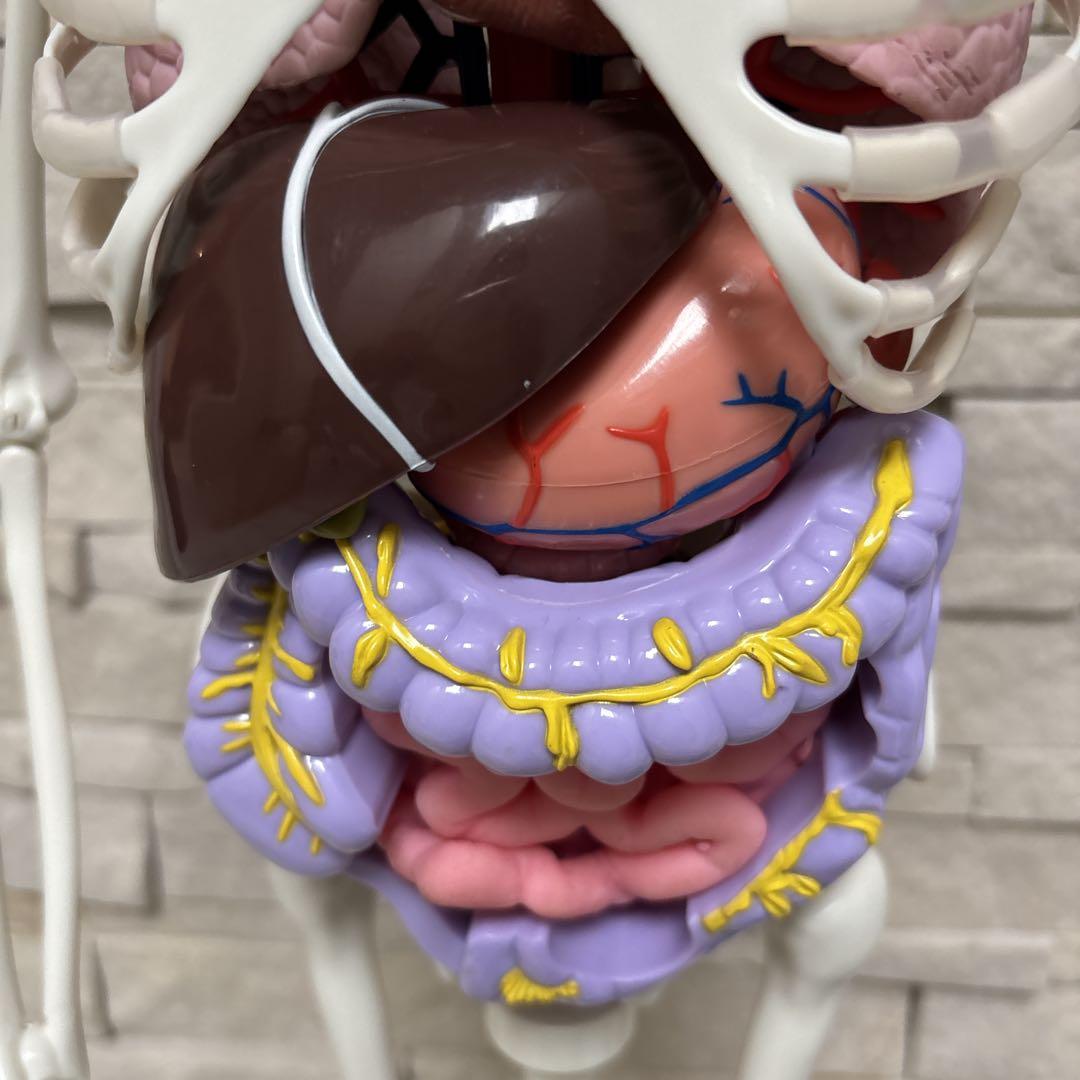 【美品】DEAGOSTINI おしゃべりガイコツ　ホネッキー