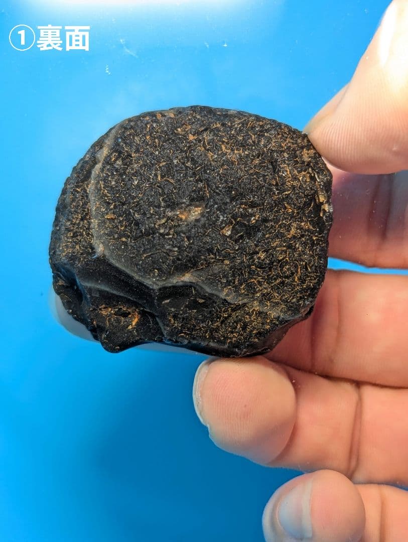 【原石】十勝石玲瓏　北海道産レインボーオブシディアン　十勝石　玲瓏石