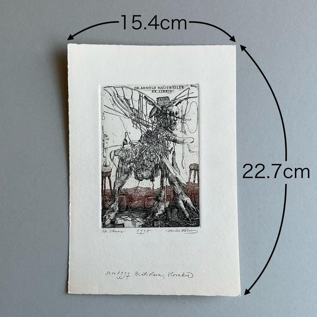 ドゥシャン•カーライ　銅版画１枚と直筆サイン入りポストカード１枚　即購入OK‼️