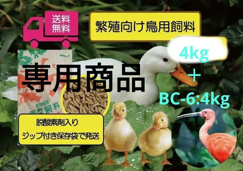 ★【アヒル・コールダック飼育繁殖·ヒナ向け】4kg ＋BC-6∶4kg