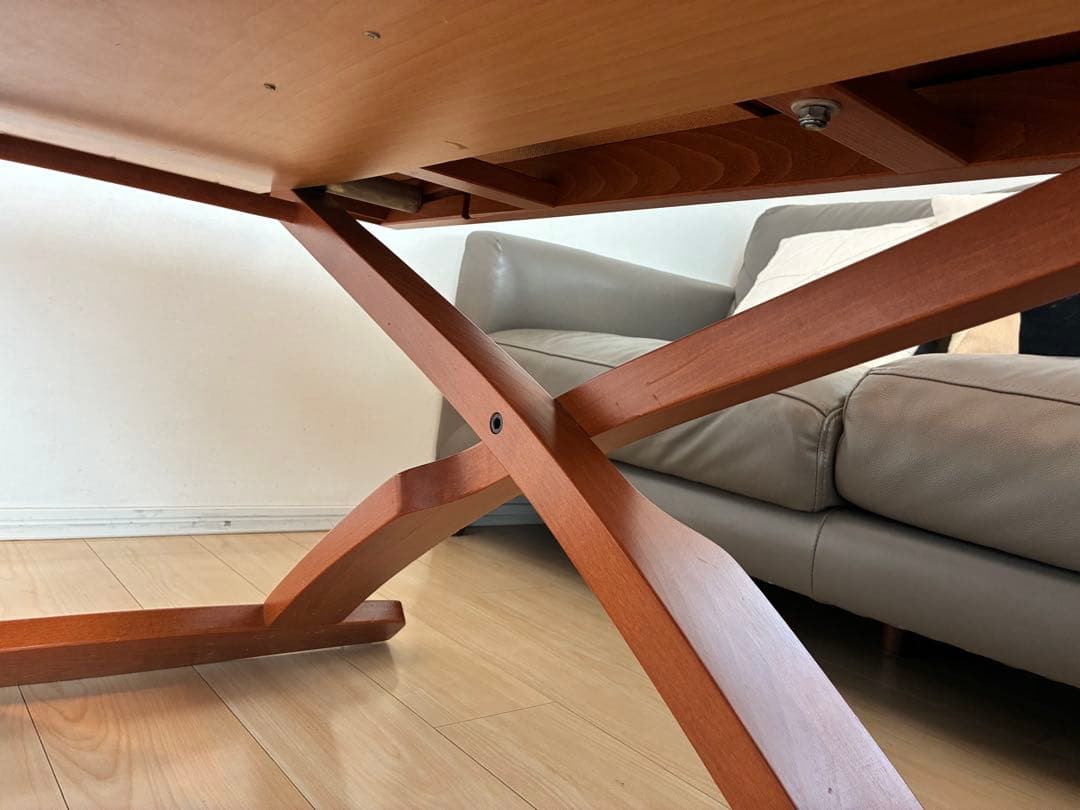 シンタロウ様　送料込み　カリガリス コヌビア マスコッティ テーブル