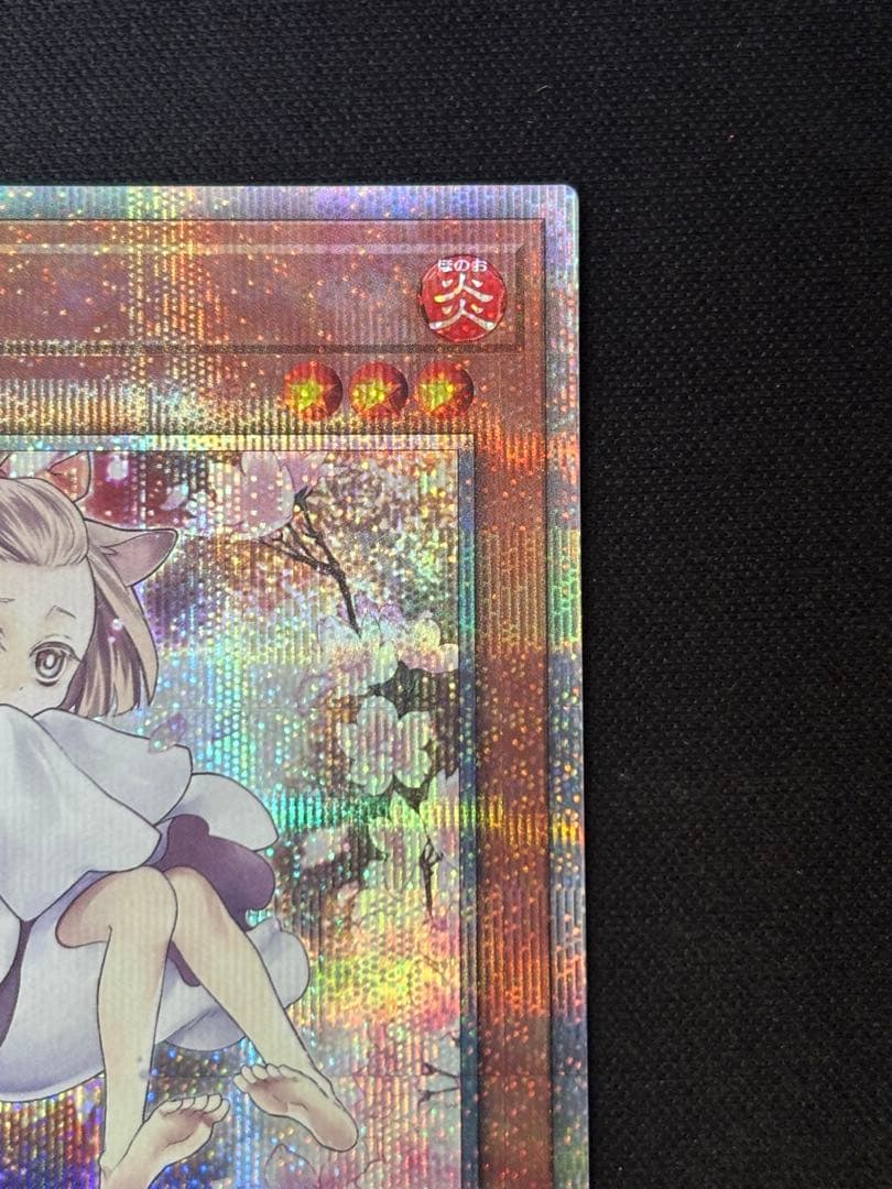 遊戯王　灰流うらら　25th 絵違い　クオシク