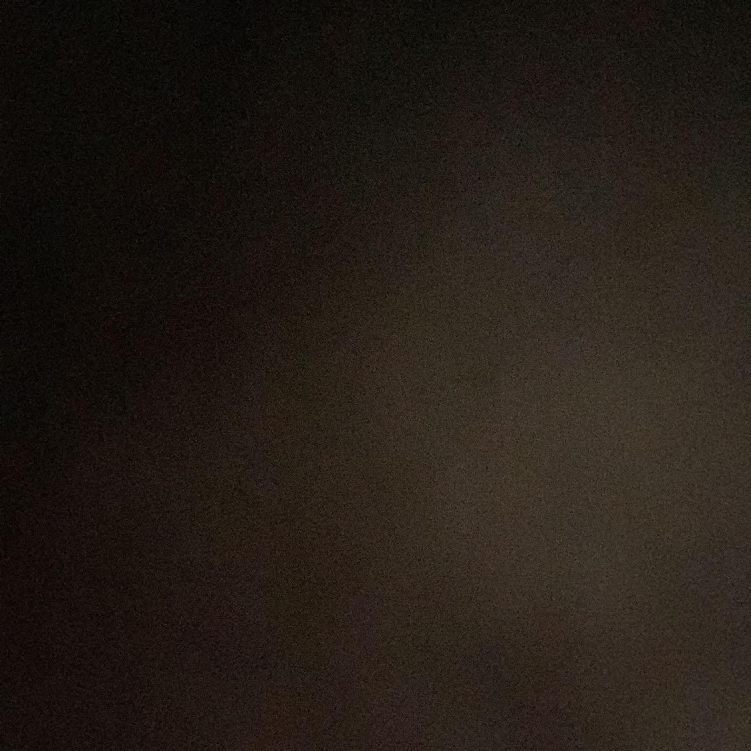 oasis Tour Photo Mono Tシャツ