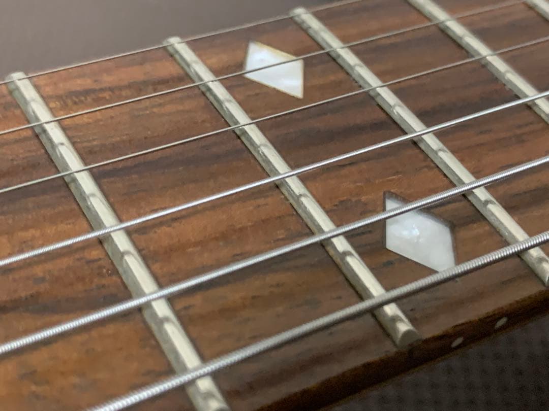 Chatting Bird Mockingbird モッキンバード hide