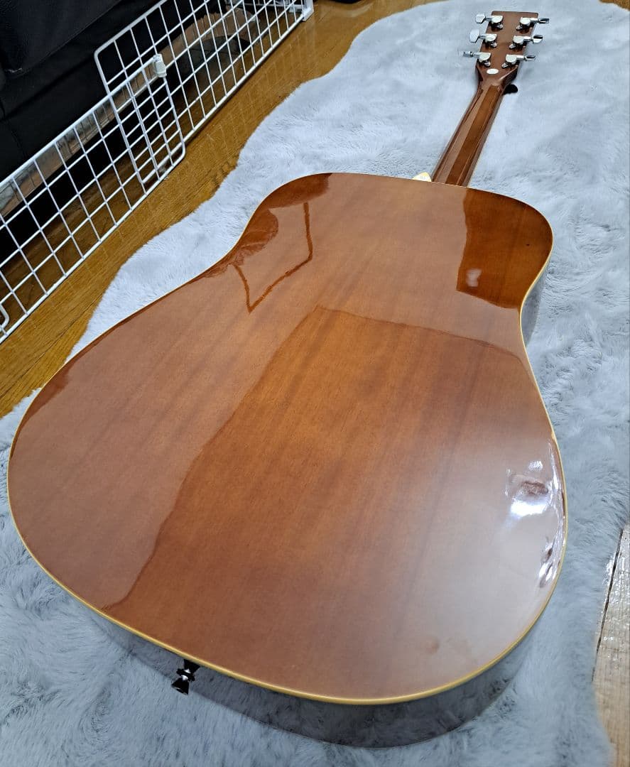 直接引き取り セピアクルー アコースティックギター スプルーストップ