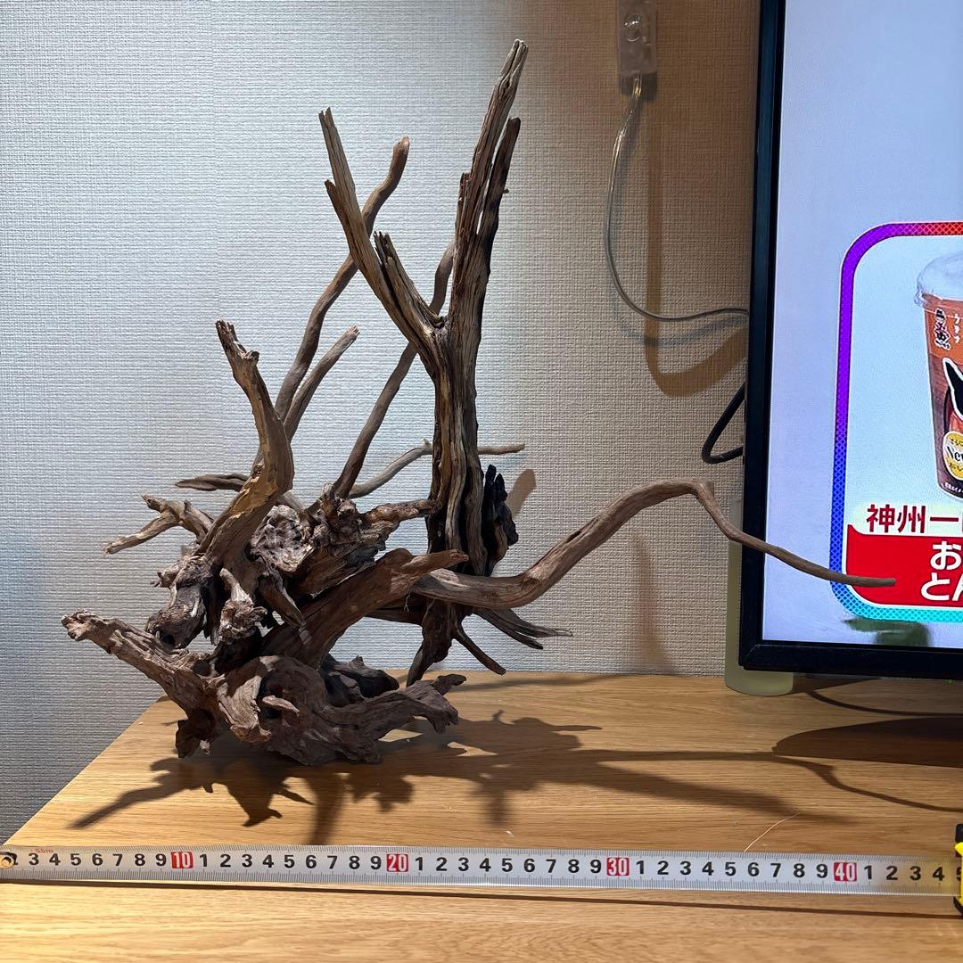 【早い者勝ち】 ADA流木 3本（まとめ買い500円引）