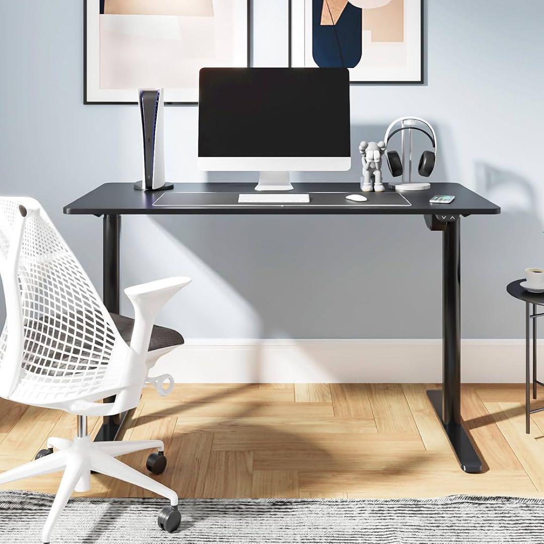 FLEXISPOT 電動式昇降デスク EG1 天板ブラック