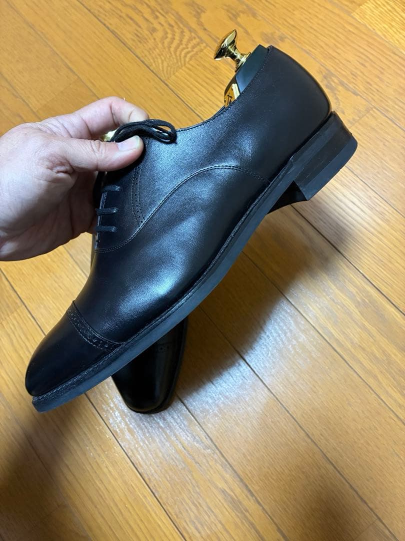 【ツリー込み】三陽山長　勇也　7.5 25.5