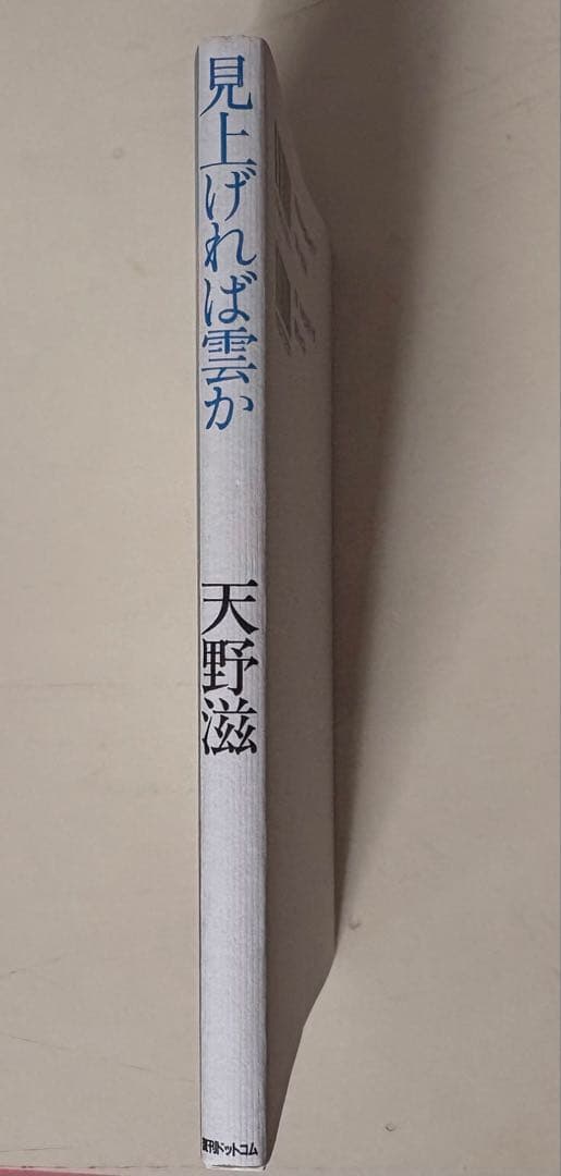 「見上げれば雲か」 天野滋