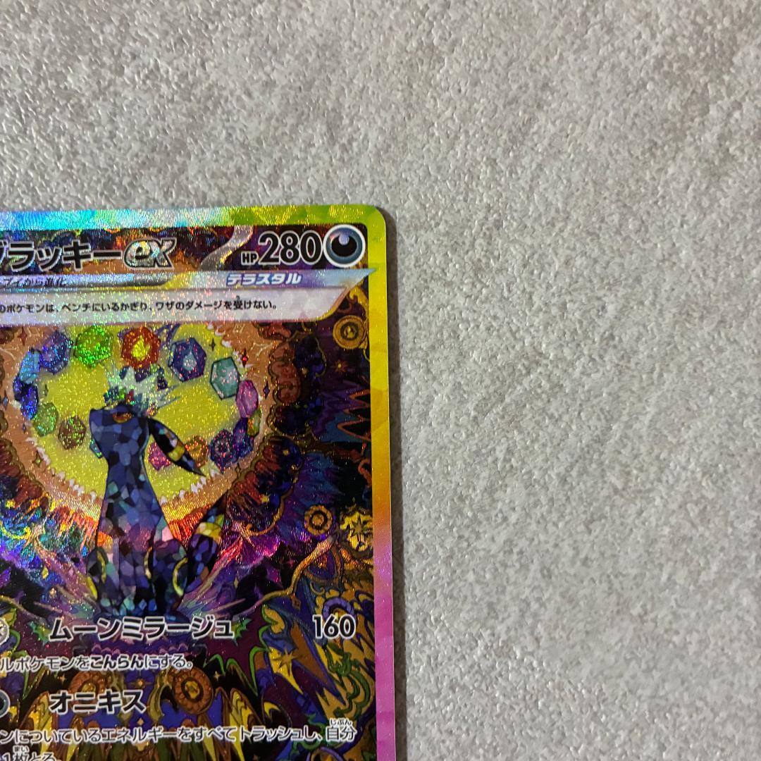 ブラッキーex SAR テラスタルフェス