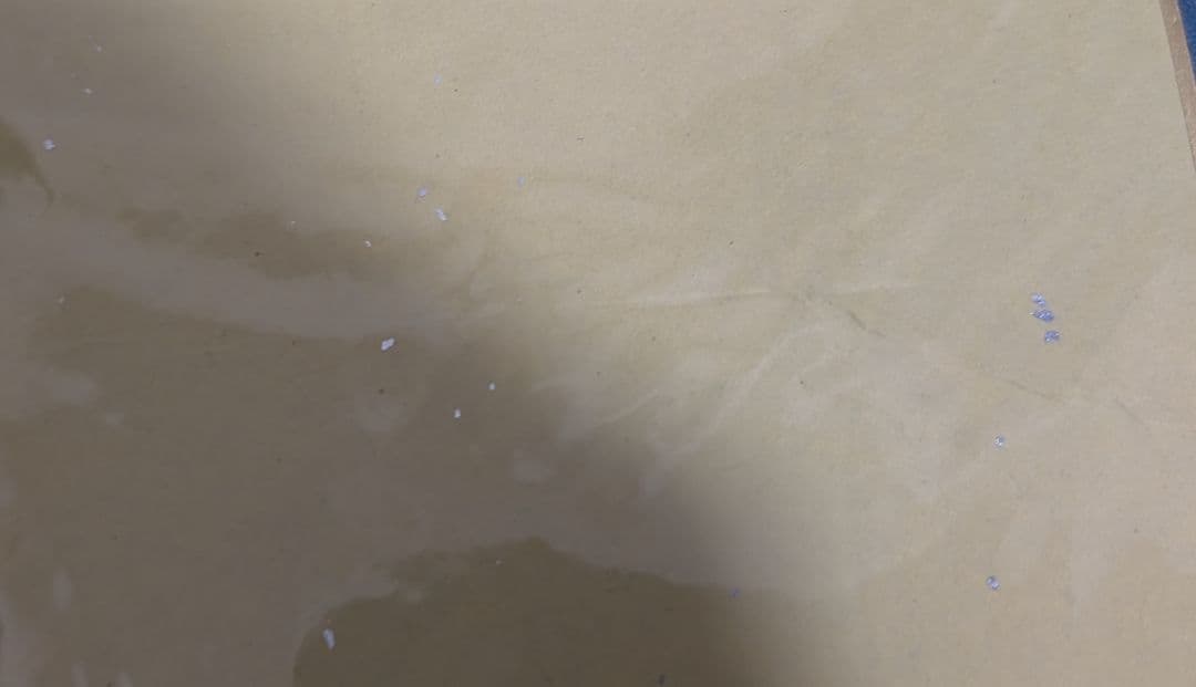 ARTFX J ミヅキ with モクロー 色紙