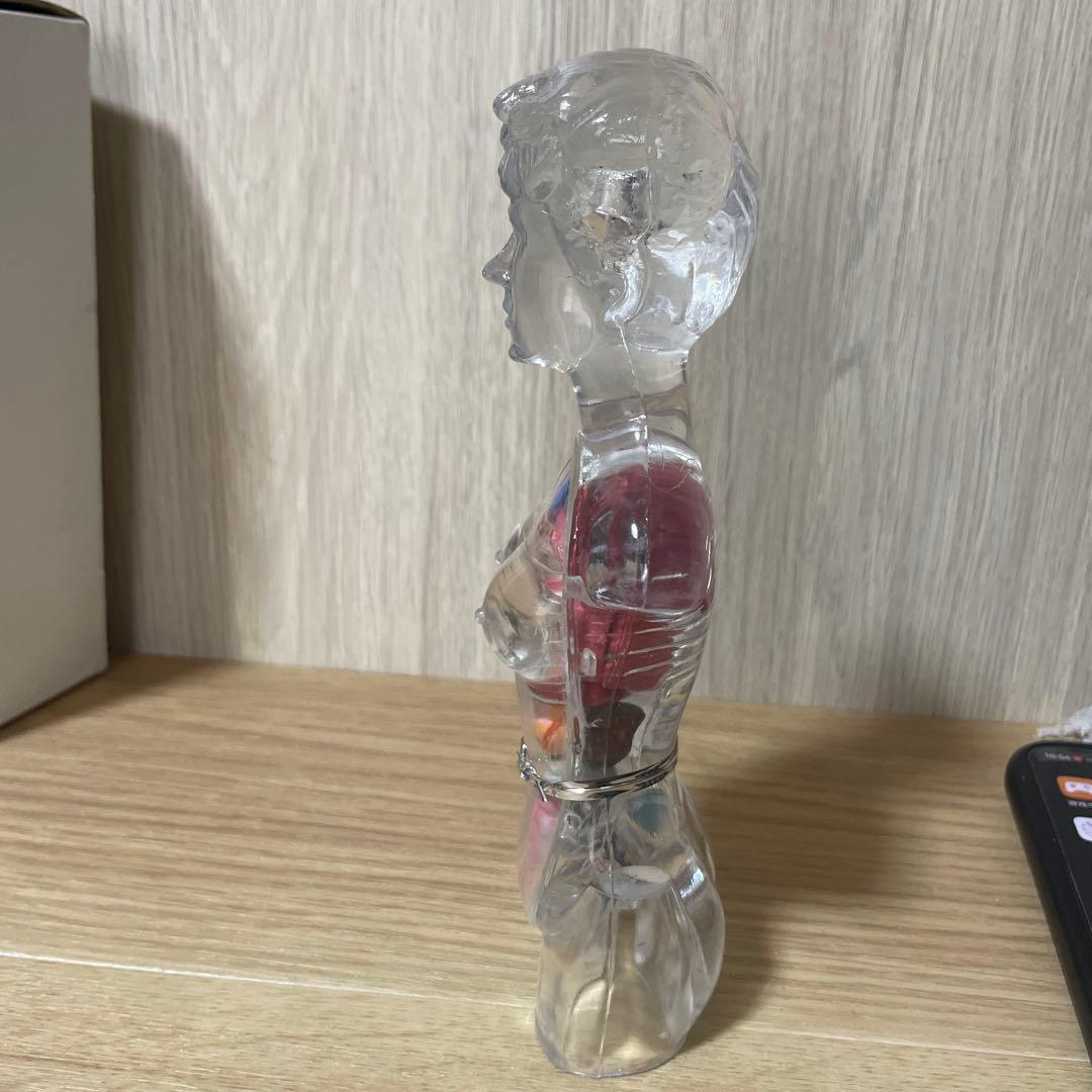 人体解剖模型 透明ボディ 内臓パーツ付き 教材用 Ln572