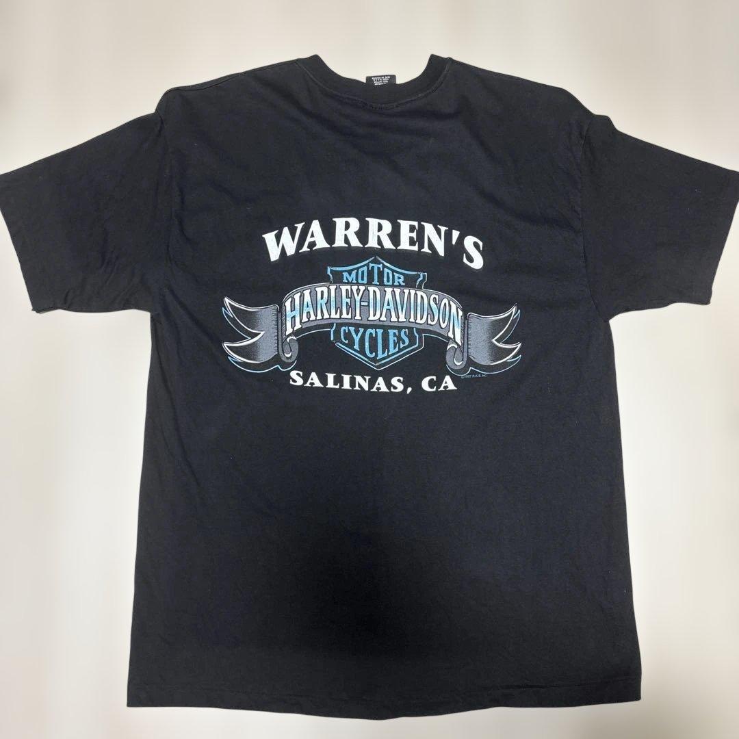 harley davidson バッファロースカル　90s ブルーフレイム