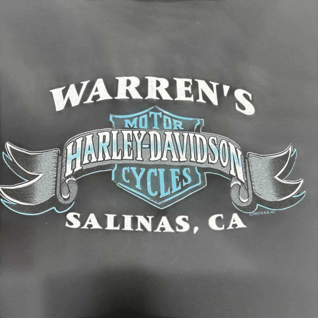 harley davidson バッファロースカル　90s ブルーフレイム