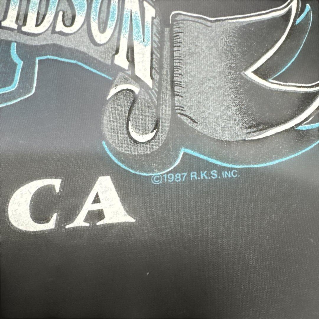 harley davidson バッファロースカル　90s ブルーフレイム