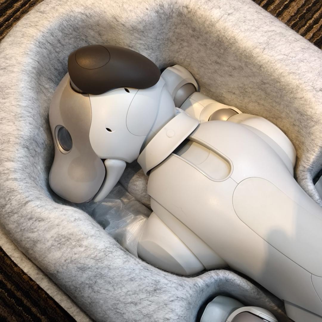 【メーカー修理済み】 aibo アイボ / ERS-1000 /ソニー SONY