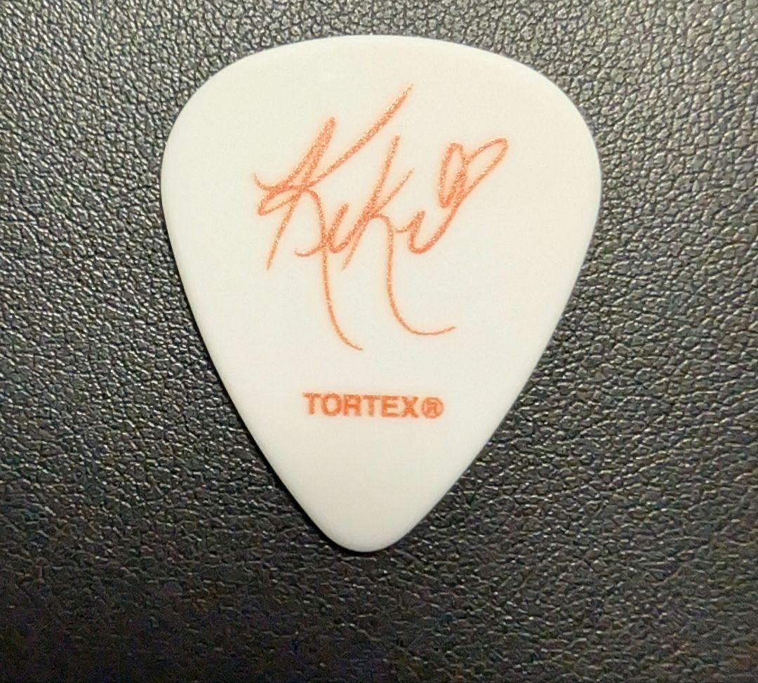 Smashing Pumpkins 武道館 ギター ピック スマパン