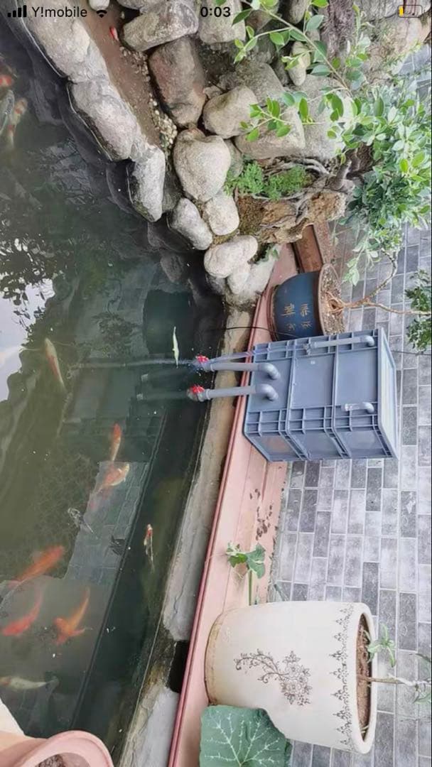 ポンプ付き池フィルター万能濾過装置 池フィルター最高濾過装置大)当日発送送料込み