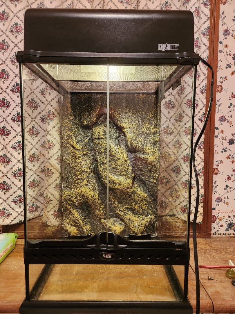 引取グラステラリウム3045 コンパクトトップ　中古各1台