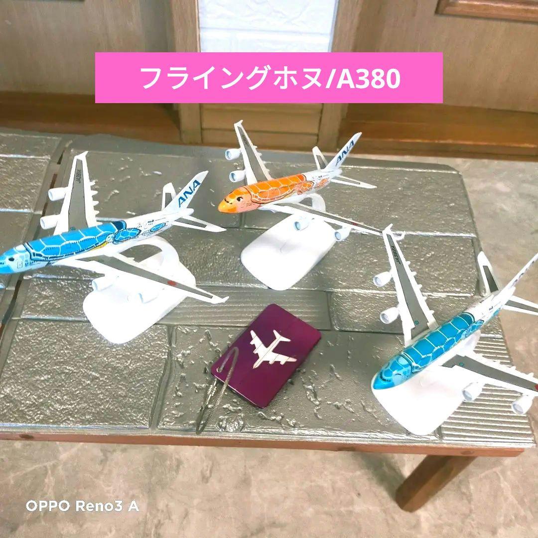 12/12 NEW!! フライングホヌ／3色…1/500 /a380