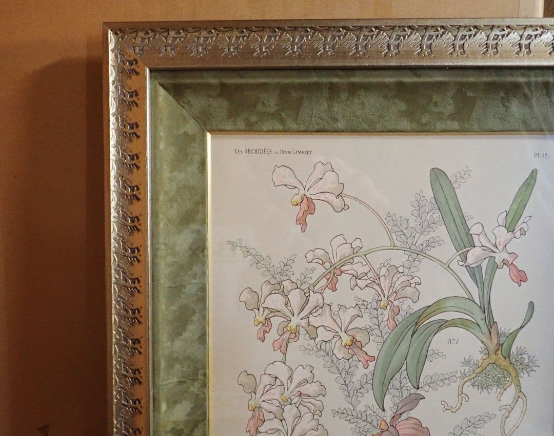 アンティークプリント○ランバート「蘭」1885年