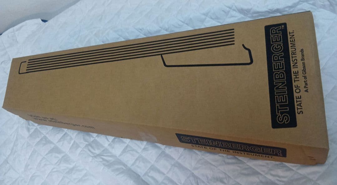 ギター Steinberger GT-Pro DX frost blue