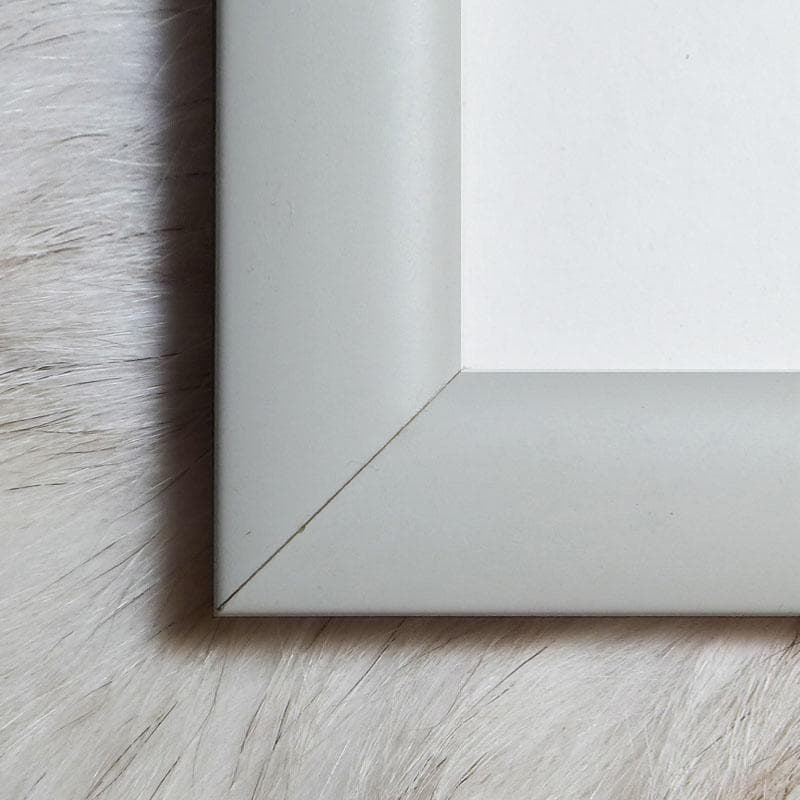 額装品/Mr. Duck Steps/ディズニー/ポスター/インテリア