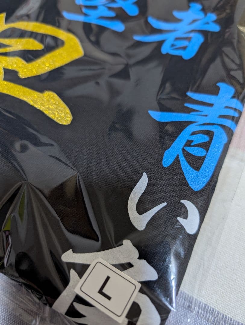 氣志團　焼津公演限定　早乙女光Tシャツ　Lサイズ ①