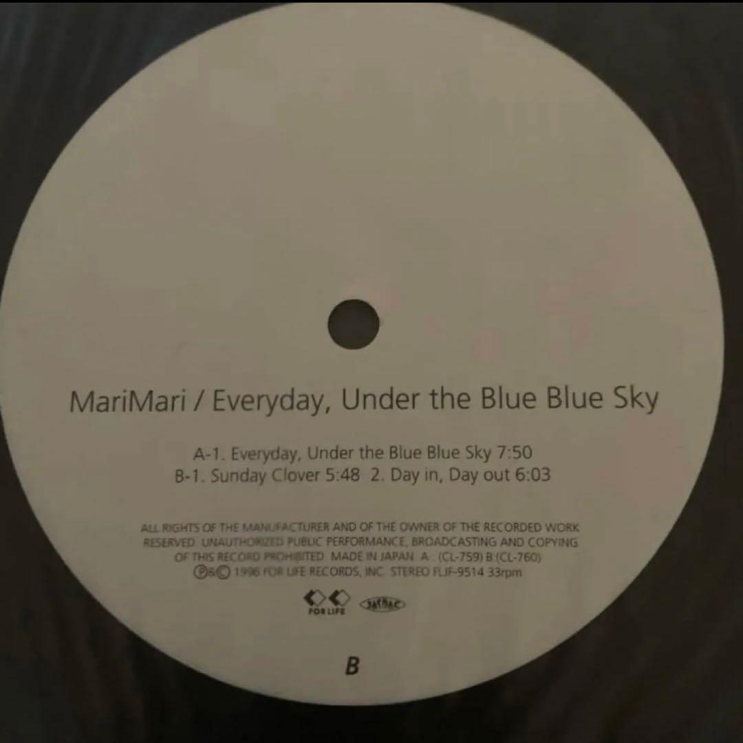 MARIMARI マリマリ　12インチ　アナログ