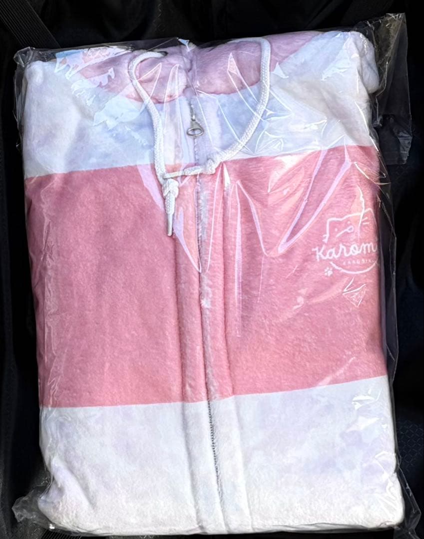 CT47 KAROMIX 新作 パーカー karory C107 こみトレ