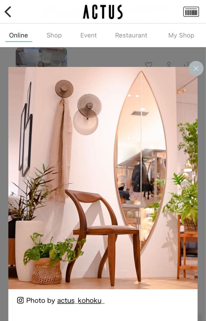 porada ARLEKIN チェア ウォールナット材