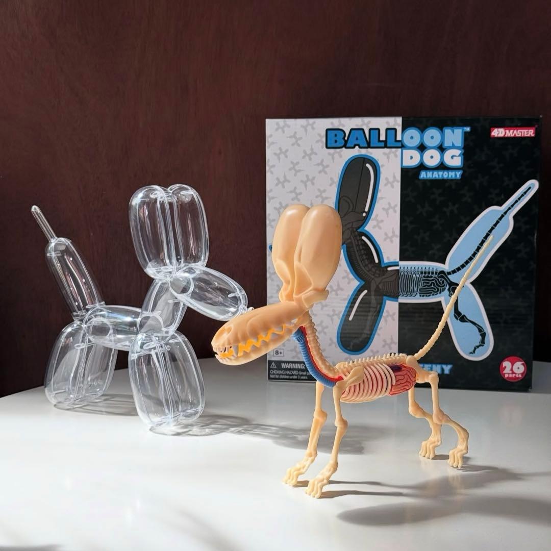 4DMASTER Balloon Dog Anatomy バルーンドッグ