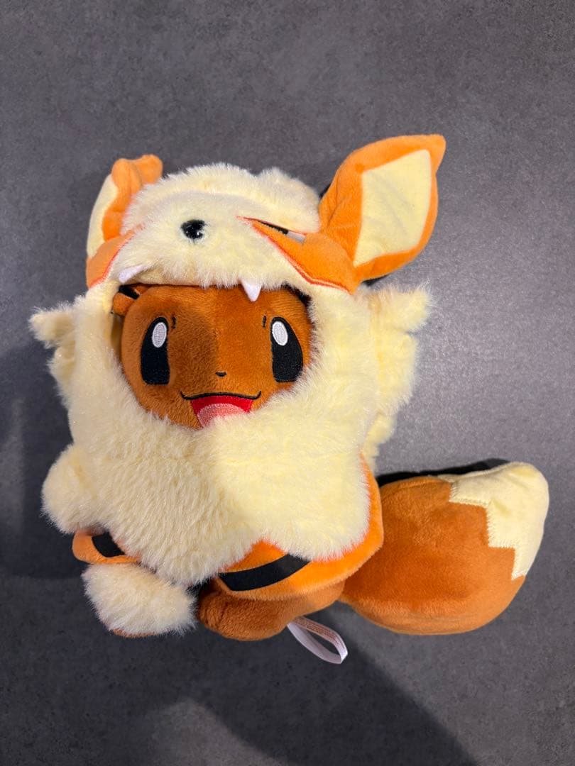 【ポケセン沖縄限定】ウィンディポンチョのイーブイ ぬいぐるみ