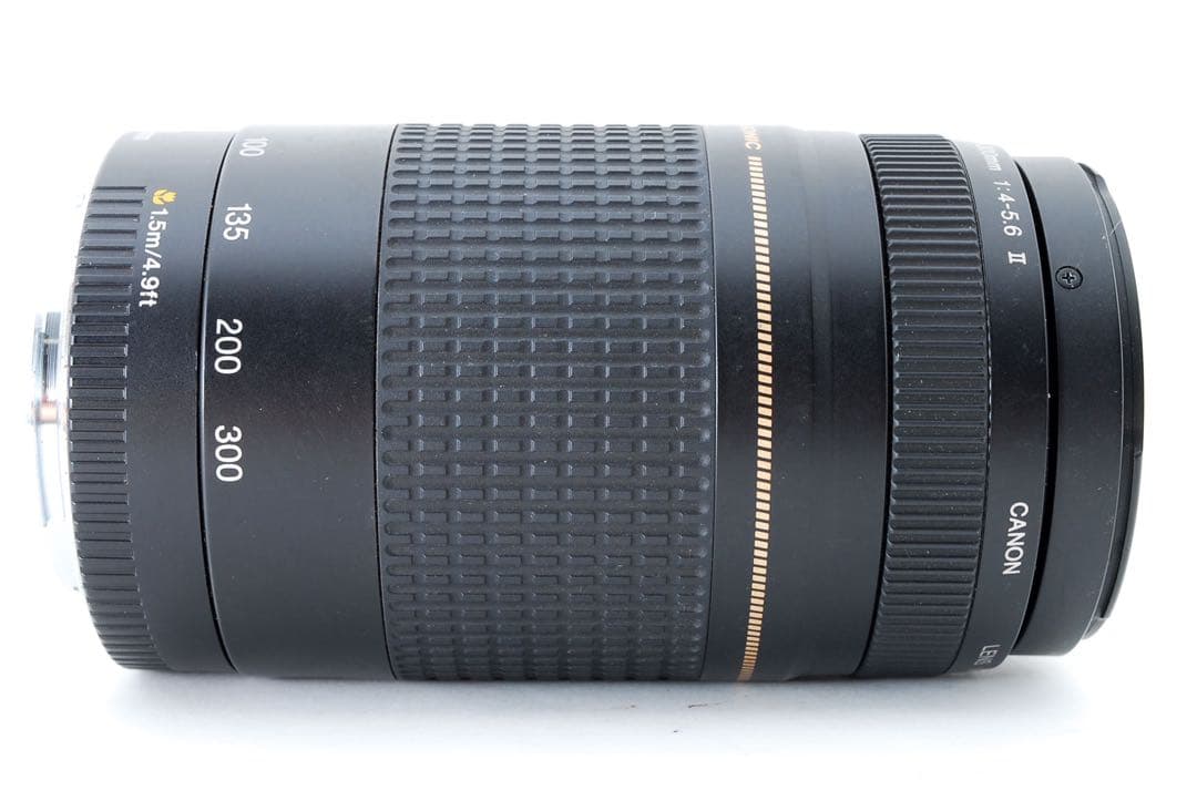 望遠レンズ/スポーツ観戦/Canon EF 75-300㎜ F4-5.6 II