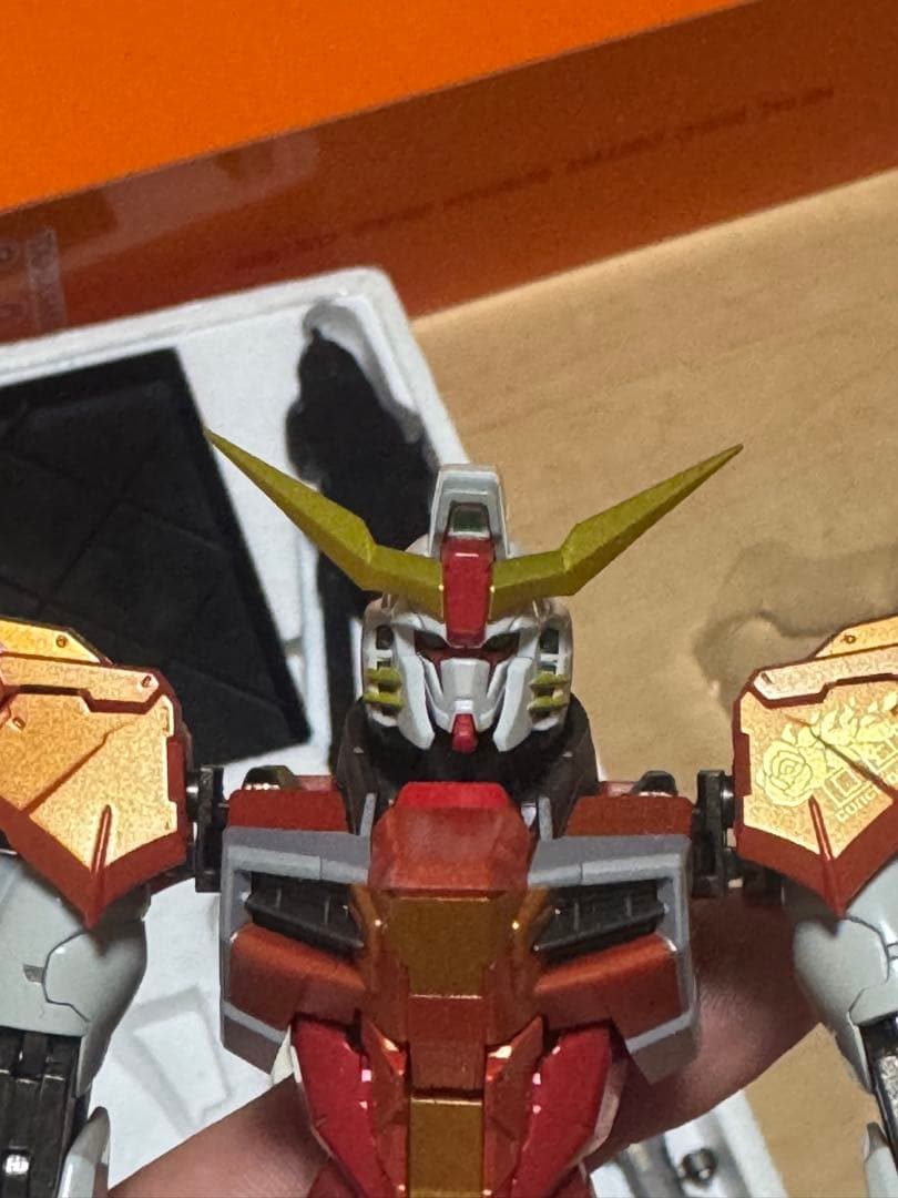 L BUILD メタルビルド ハイネ機 デスティニーガンダム　バンダイ