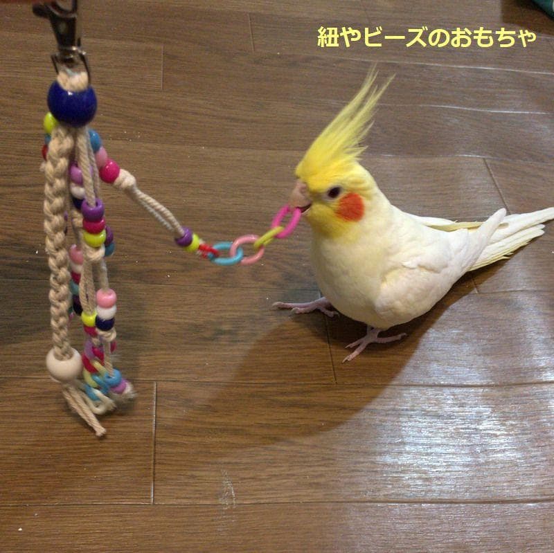 ハンドメイド　インコおもちゃ　オーダーページ　2025.04.27更新