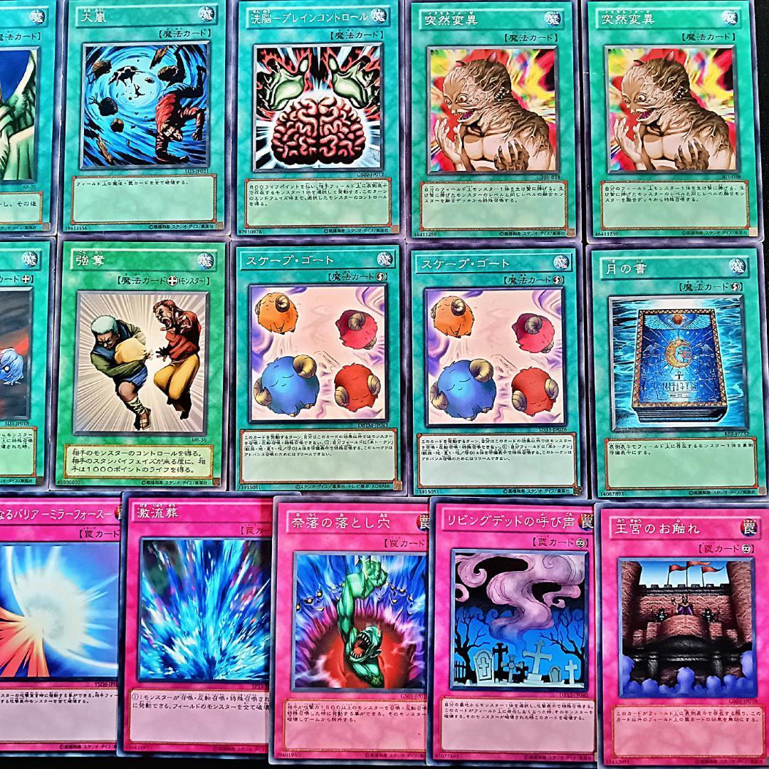 No.800 変異カオス ミラー２デッキセットＷCS2005優勝 ゲートボール