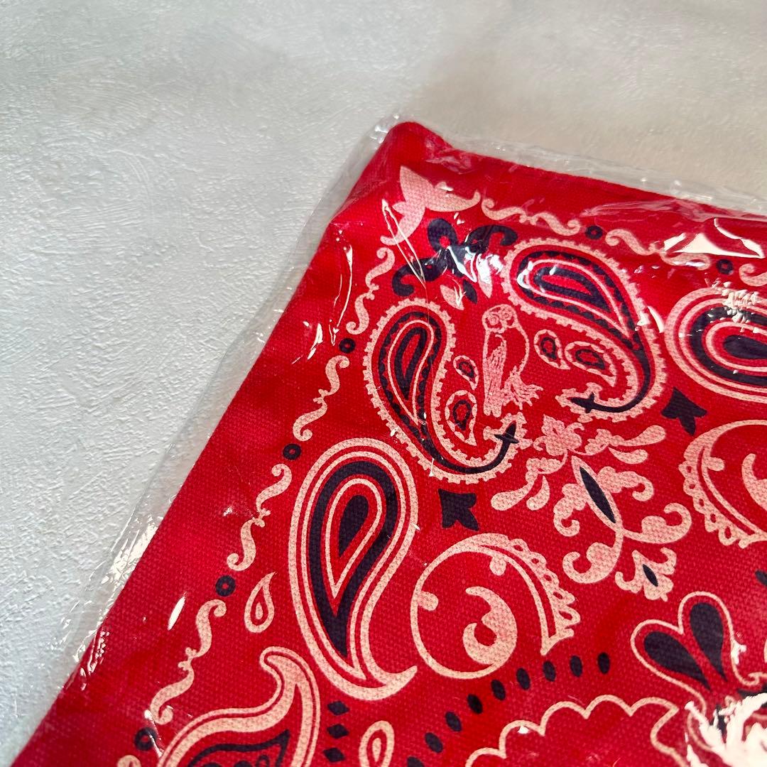 Superfly グッズ グリュック レア バック スペシャル スーパーフライ