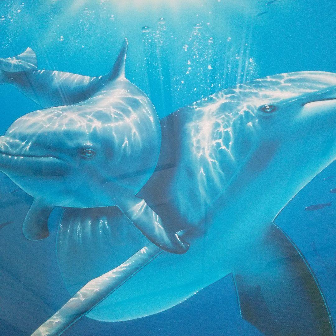 クリスチャンラッセン ニューホープII