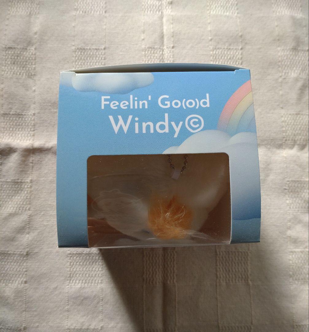 【藤井風 ウィンディ Windy ちゃん】