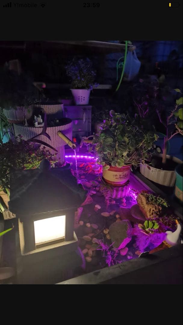 三段式万能濾過装置、濾過層濾過飼育濾過装置、外部フィルター(大)当日発送送料込み